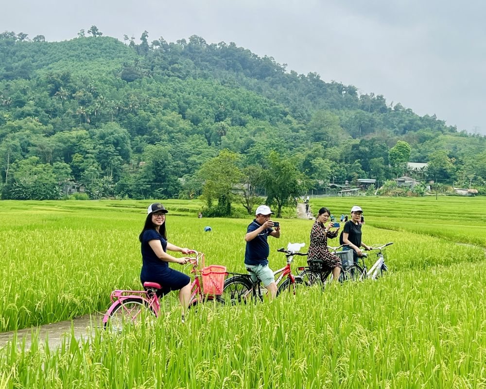Hanoi Countryside Bike Tour – But Thap Dong Ho Phat Tich 1 Day